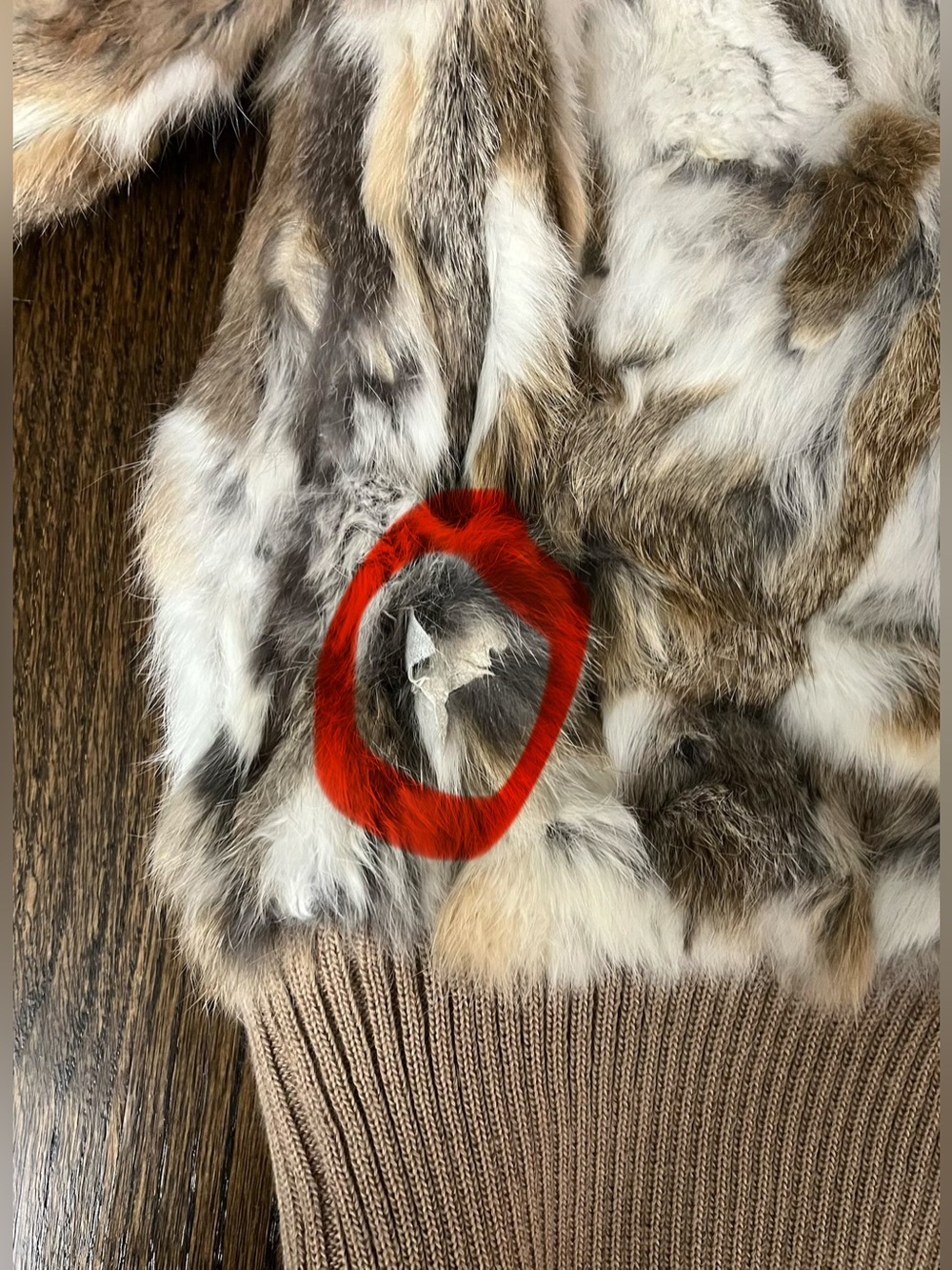 Genuine Rabbit Fur Shell Jacket - Neutral Tones - Picture 4 of 6